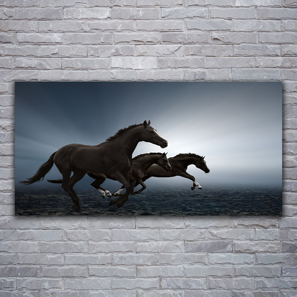 Impression verre acrylique Tulup chevaux tableau 120x60cm incassable pour piece humide