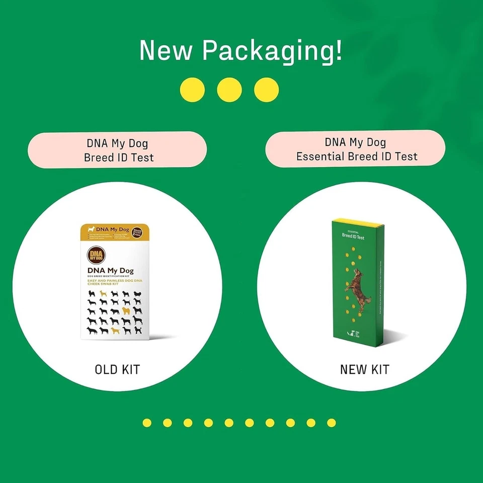 Kit de prueba de ADN de raza de perro - 350+ razas, 99% de precisión, hisopo para mejillas, resultados de 2 semanas Foto 2 de 4