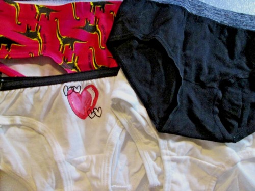 New Hanes,FruitLoom Etc Size 6 Girls' Bikini Briefs 4 Pack Your Choice of Group! - Picture 6 of 37