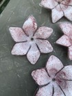 Bild 3 von 10