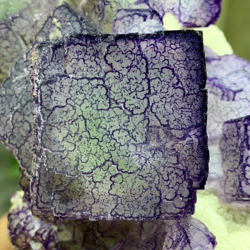 1,27 Pfund natürliches lila "QR-Code" Fluorit Cluster Kristall Mineral Probe/Guizhou - Bild 14 von 20