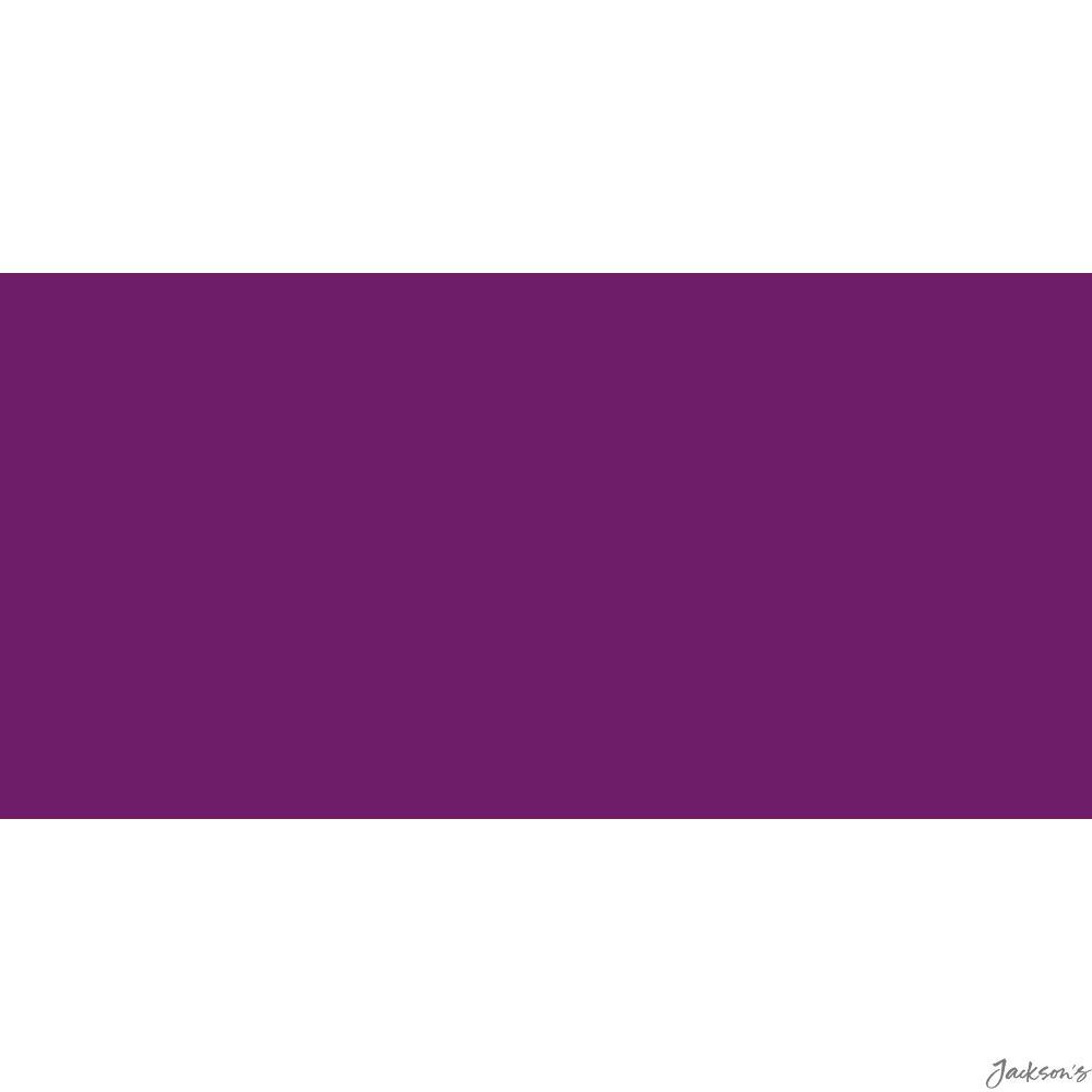 Caran d'Ache Neocolor II Watercolour Crayon Wax Purple Violet For Artists