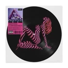 Madonna Confessions II Picture Disc LP Grindr Limited Edition Presale NEW Sealed