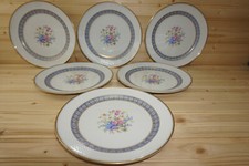 Thomas 1-106 (6) Dinner Plates, 9 1/2   (B4)