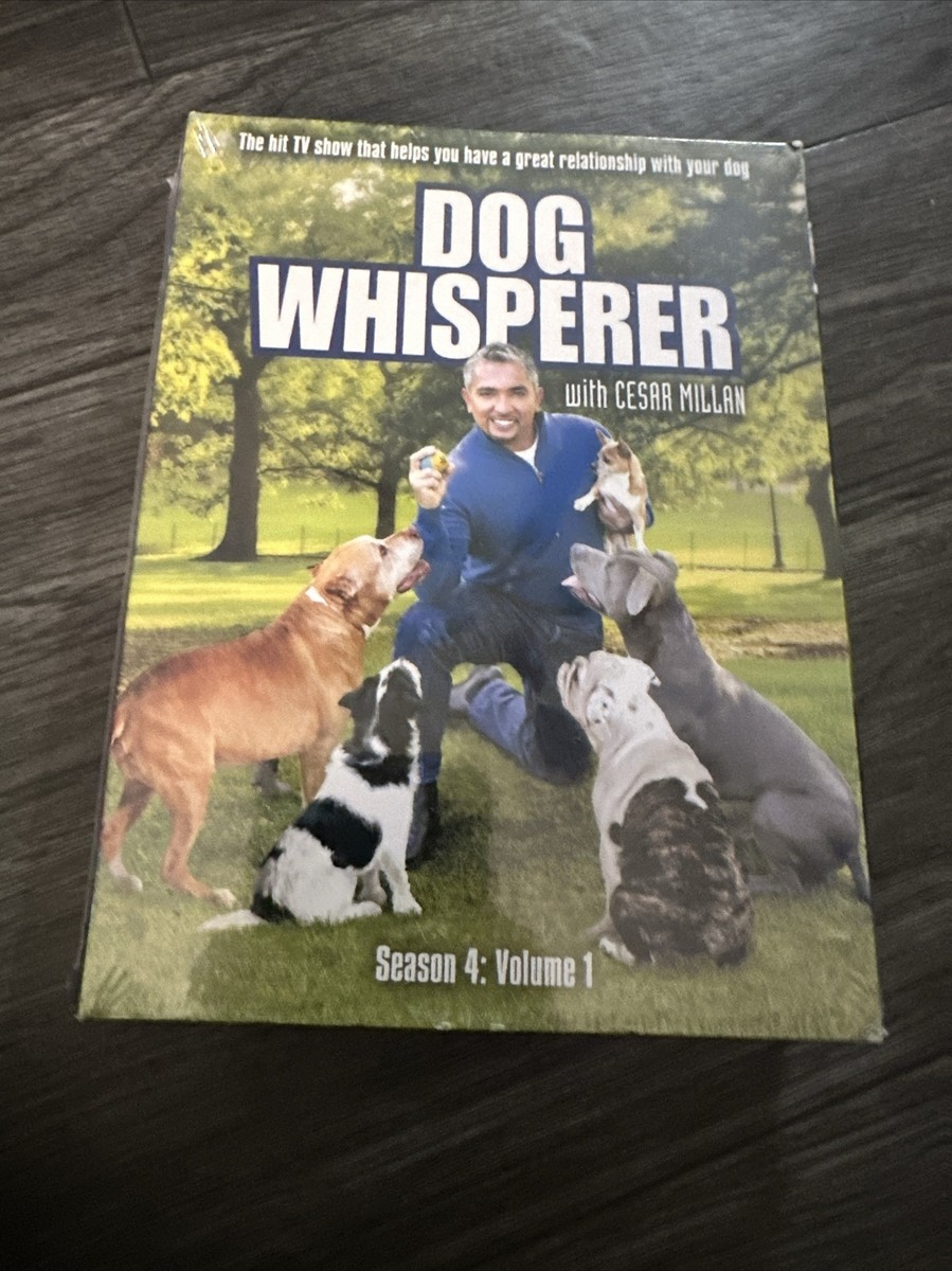 Better Dog Dog Whisperer Show Train Your Dog Positively By