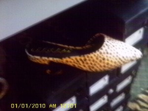 ccocci flats