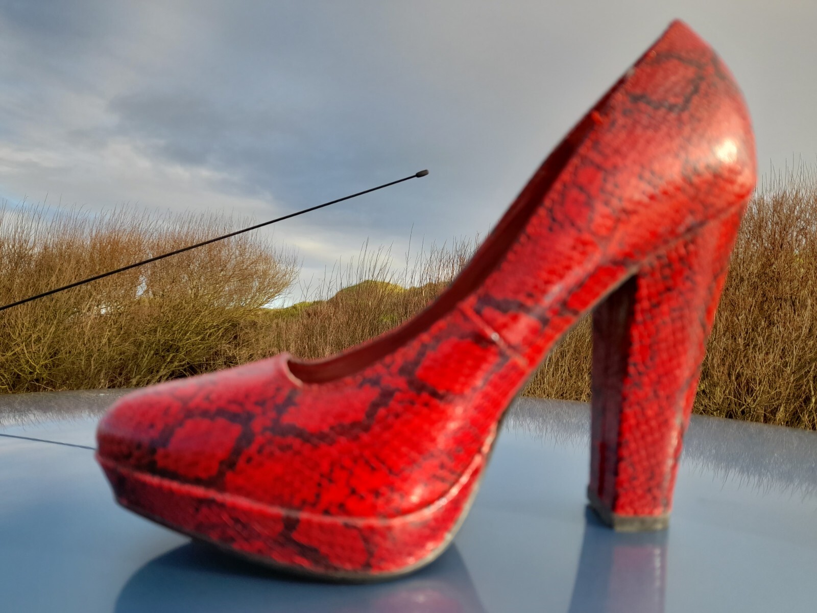 Next Red Mock Python Platforms - image 4