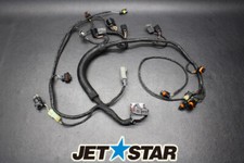 2010 Sea-Doo GTX 155 OEM Main Engine Sub Wiring Harness 2010 Sea-Doo GTX 155 OEM Main Engine Sub Wiring Harness