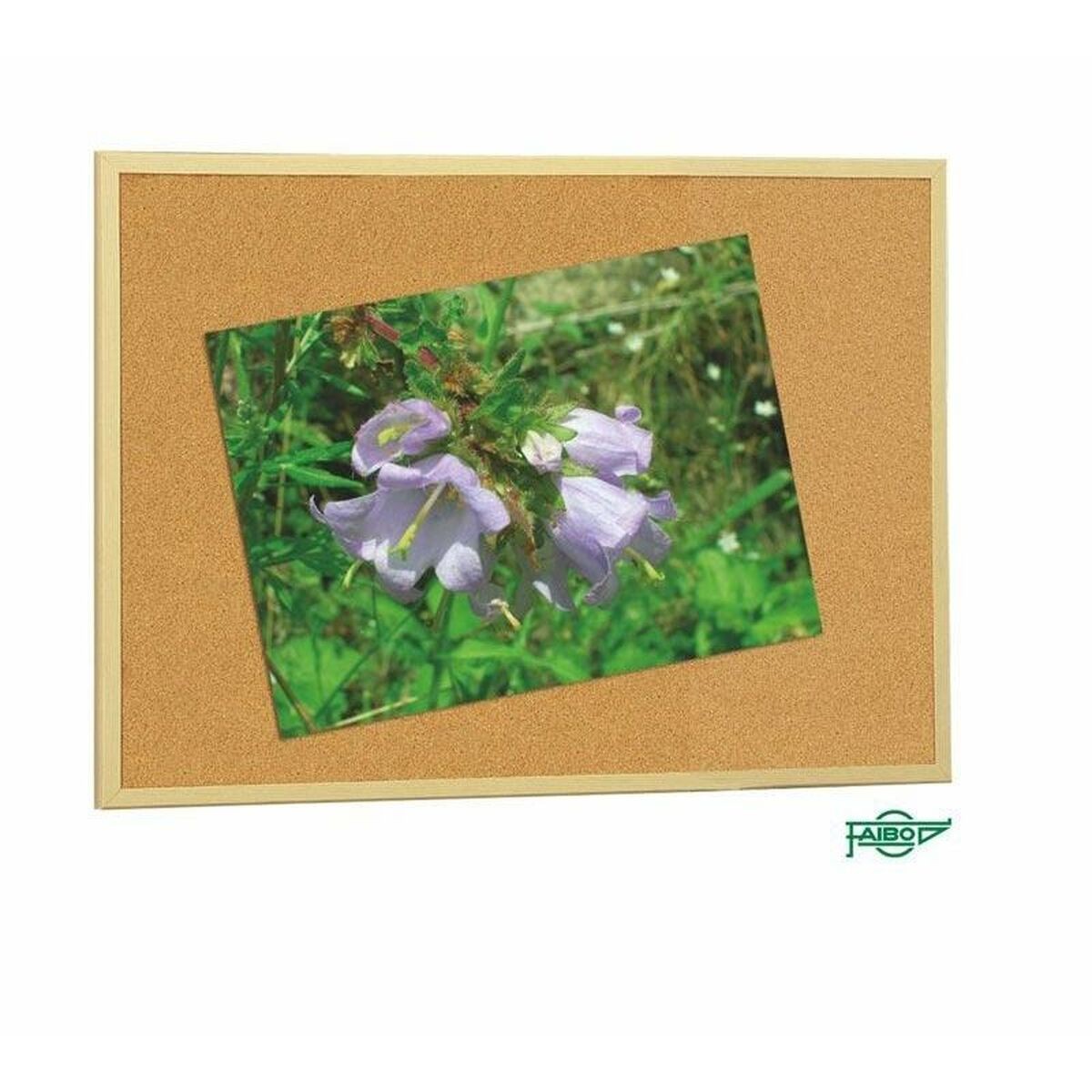 Foto 3 di 3
