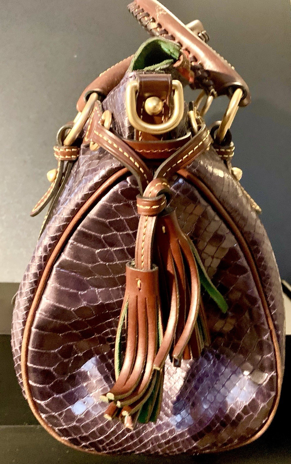 This is a Dooney & Bourke Python Florentine satch… - image 2