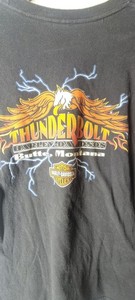 Vintage Harley Davidson Shirt M Black Skull Flames Thunderbolt Butte Montana Y2K