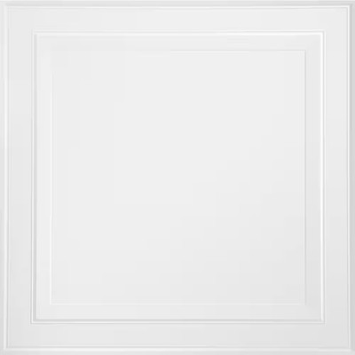 Single Raised Panel 2 Ft. X 2 Ft. Suspended/Drop Tegular Ceiling Tile (24 Sq Ft.