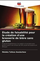 Melaku Tafese Awulachew | ÉTude De Faisabilité Pour La CréAtion D'une...