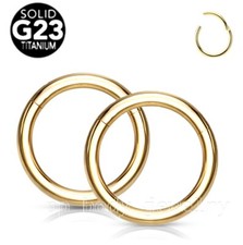 2x G23 Titanium Hinged Seamless Segment Ring Earring Cartilage Nose Hoop Septum