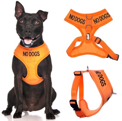 NO DOGS Non Pull Vest Harness Waterproof Padded (Not Good