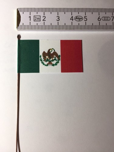 764) 1x 28 mm mexikanische Nationalflagge Banner Schlacht von Camerone 1863 gegen Fremdbein