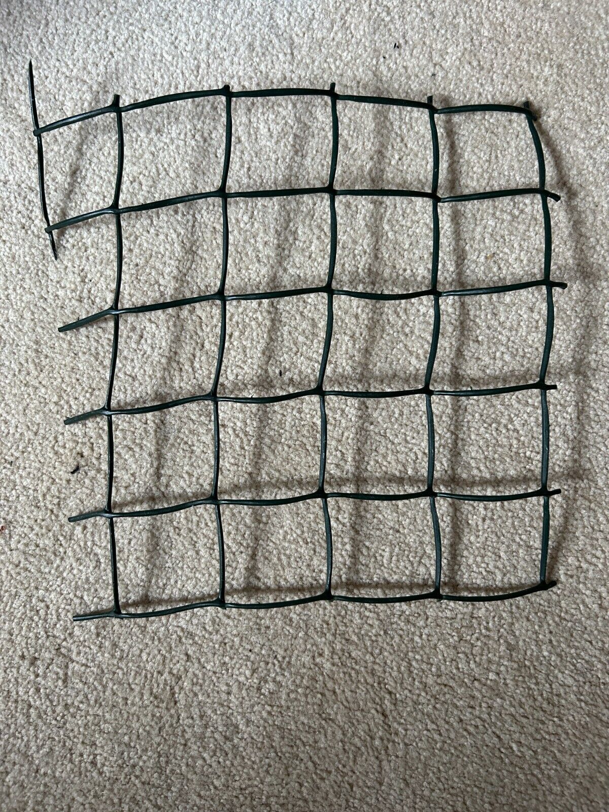 Picture 5 of 5