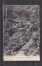 NEW SOUTH WALES, LEURA, LOVERS NOOK, c1920 ppc., unused.