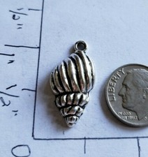Shell charms ocean sea beach water vacation B