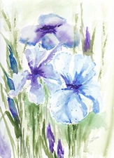 watercolor on paper flowers blue and purple iris unframed