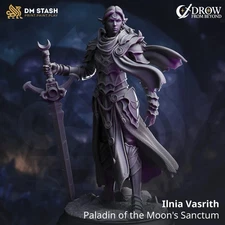 Illnia Vasrith Miniature 32mm 75mm | Dark Elf Paladin | Resin RPG Model