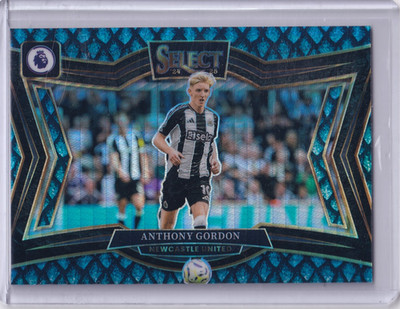 2024-25 Panini Select Premier League Anthony Gordon /48 Dragon Scale