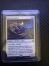MTG - Kinscaer Sentry - Lorwyn Eclipsed - NM