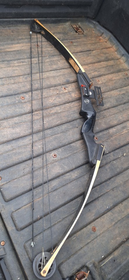 Darton SL50 Compound Bow Vintage | eBay