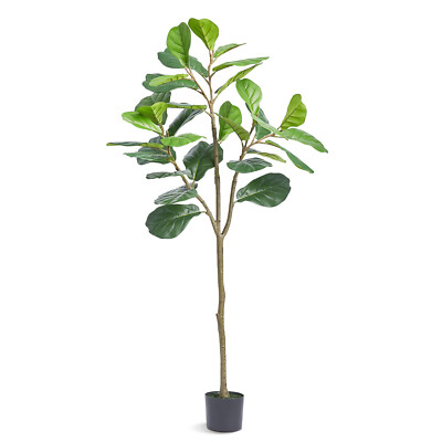 Ficus Finto Alto 120/150/180 Cm, Pianta Artificiale Da Interni/esterni, Con Vaso Nero, Foglie Realistiche, Decorazione Casa - 5