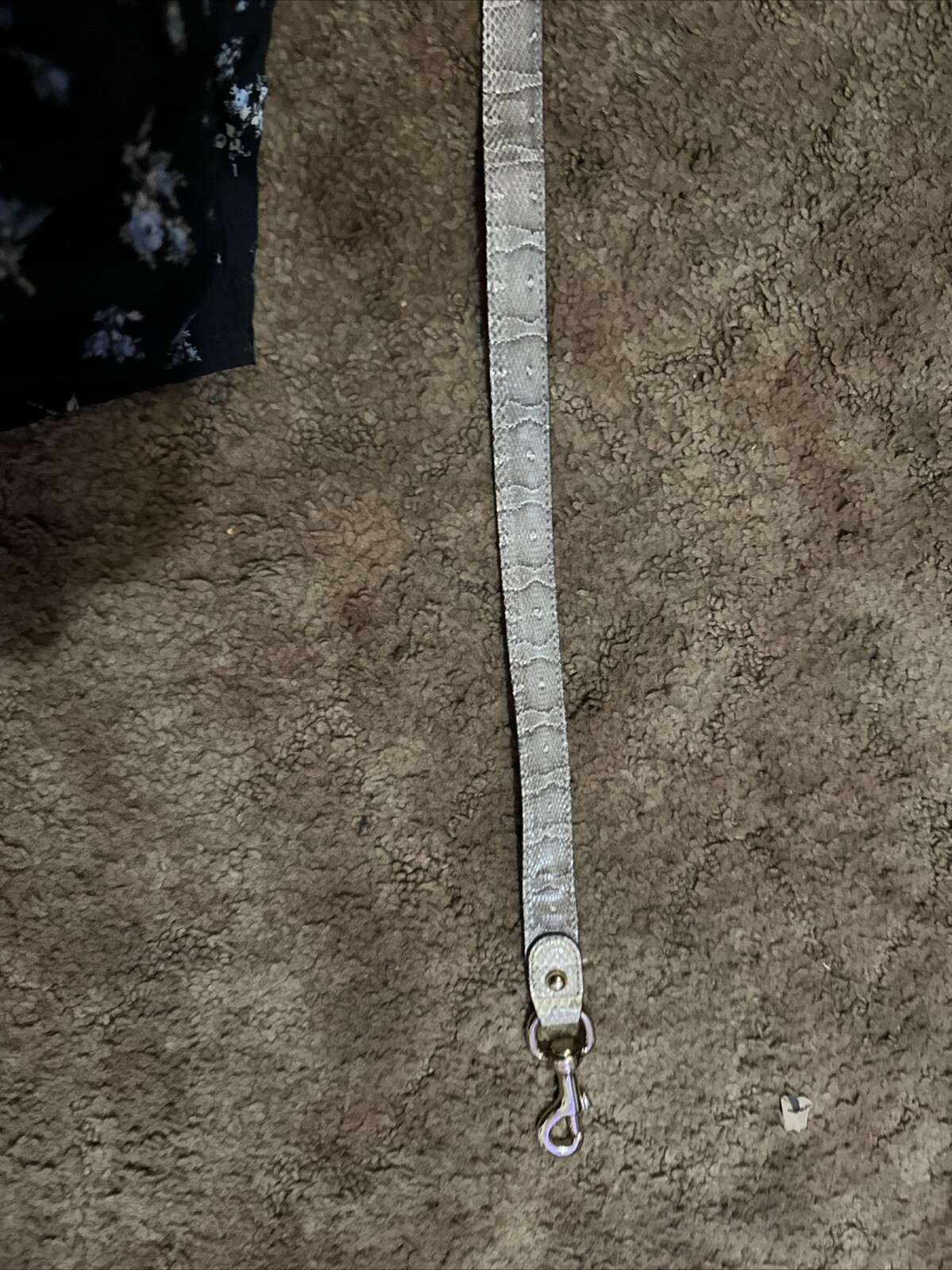 Gucci Indy Python Bag Strap - image 1