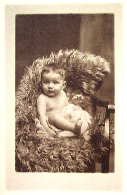 Baby Sitting on Fur Portrait- Green Studio, Boston MA Antique Photograph
