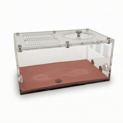 Ameisen-Modul mit Belüftungsschlitzen kompakt Formicarium leicht für Hobbyisten