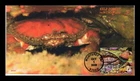 DR JIM STAMPS US COVER KELP FOREST PACIFIC ROCK CRAB FDC ALL OVER BGC