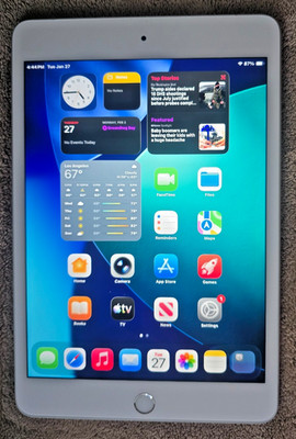 2019 7.9'' iPad Mini 5 Retina (WiFi + Cellular) / 64GB / MUY22LL/A (Silver) Good