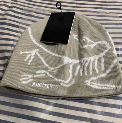 Arc'teryx Bird Head Wool Beanie Gray Toque Winter Ski Hat - New