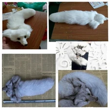 100%Genuine Fox Head Face Pelt Tanned Fox Skin Tail Fur Hide（Fox Head +Fox Tail）