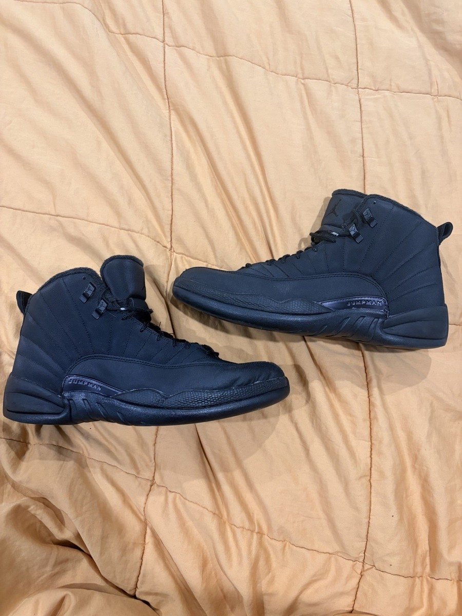 Size 11 Air Jordan 12 Retro Winterized Triple Black for sale