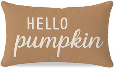 Fall Throw Pillow Covers 12x20, Warm Caramel Fall Decor for Home