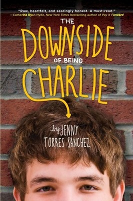 Sanchez - Downside of Being Charlie - paperback or softback - E555z