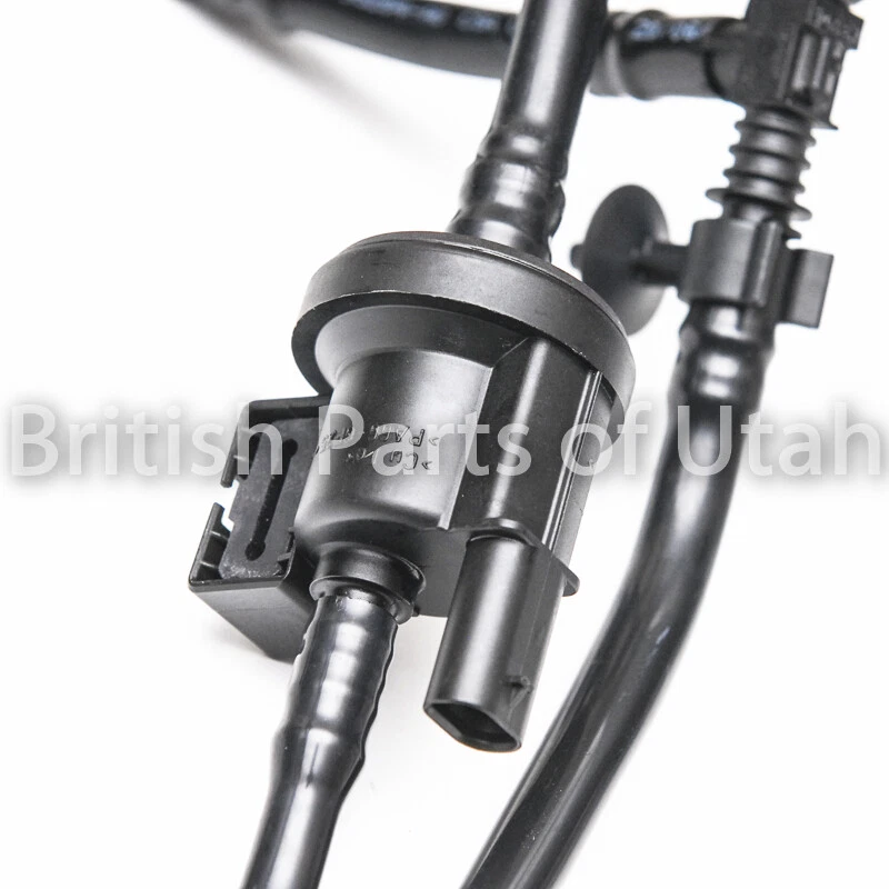 Tubo de manguera de válvula de purga Land Rover LR2 combustible vapor genuino OEM 2013~2015 Foto 2 de 3