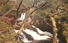 Ansichtskarte>>Ingleton, Beezley Falls und Tr...