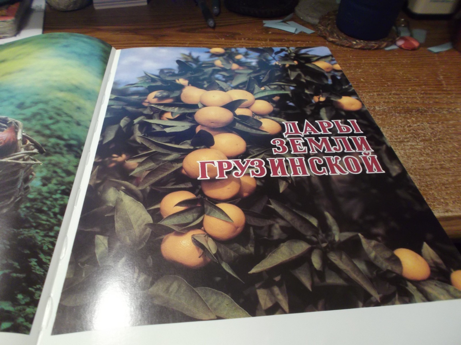 Gifts of the Georgian Land - Georgian, Russian, and English - HC 1988