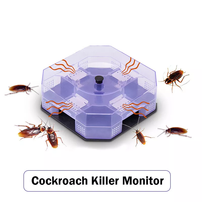 Beetle killer sale