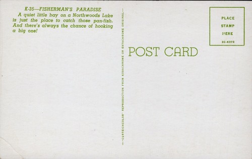 Postcard Canoe Man Fishing Northwoods Lake Chrome - Picture 2 of 2