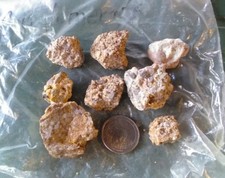 Conglomerate Samples for science project