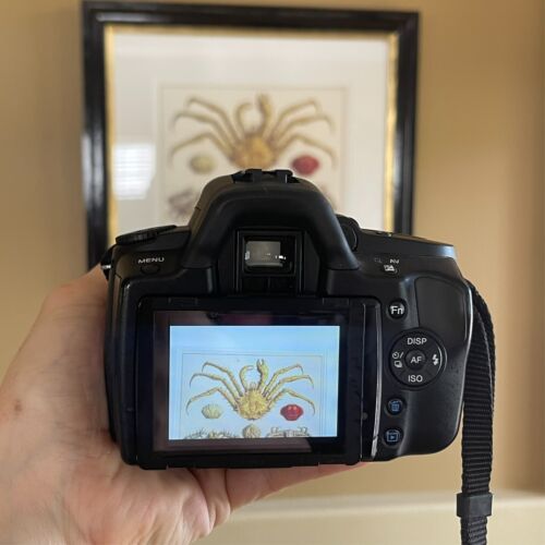 Sony Alpha DSLR-A390 14.2MP Digital SLR Camera Bundle - Picture 2 of 22