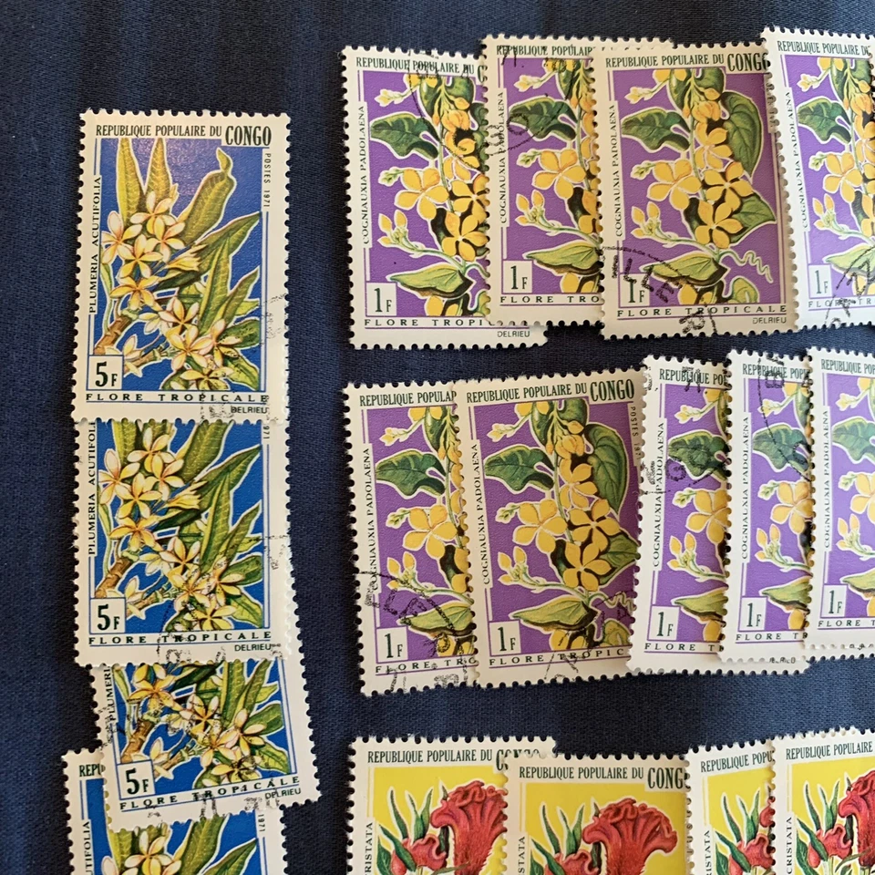 Lote de 19 conjuntos cortos de 19 sellos de flores de Congo Brazzaville 1971 #237-239 para inversores Foto 2 de 4