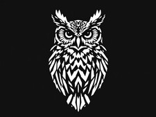 Geometric Owl Emblem Wall Art Reusable Plastic Stencil - StencilAir