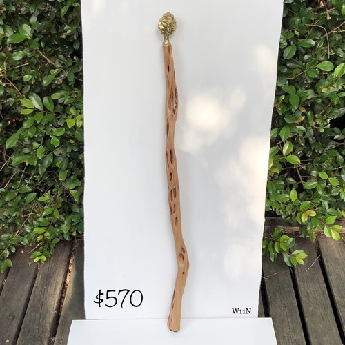 walking sticks