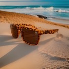 Brand New SPY+ OPTIC Sunglasses Leopard Brown Tortoise UV400 Helm Ken Block — photo 3